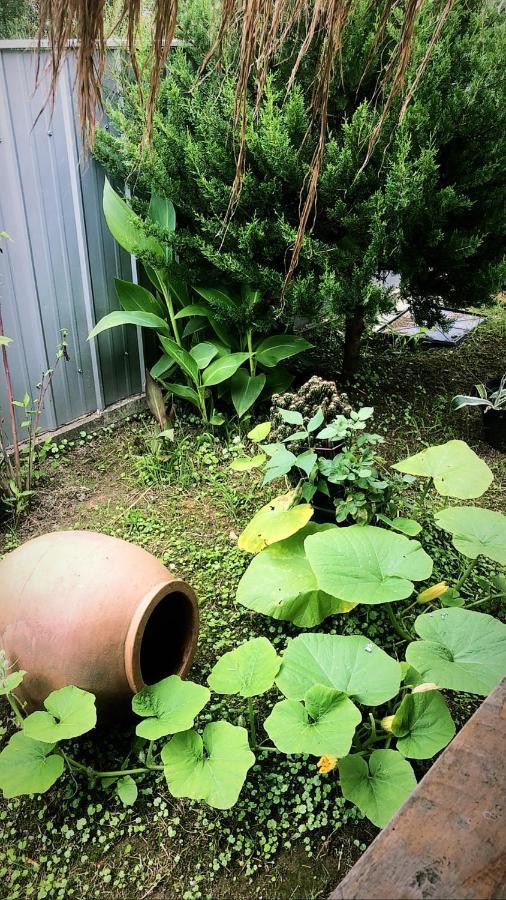 Lovely Villa Ureki Ngoại thất bức ảnh